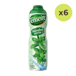 Teisseire Green Mint Syrup 600ml - image 4