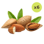 Wirai Almond - image 2