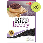 Sandee Riceberry - image 2