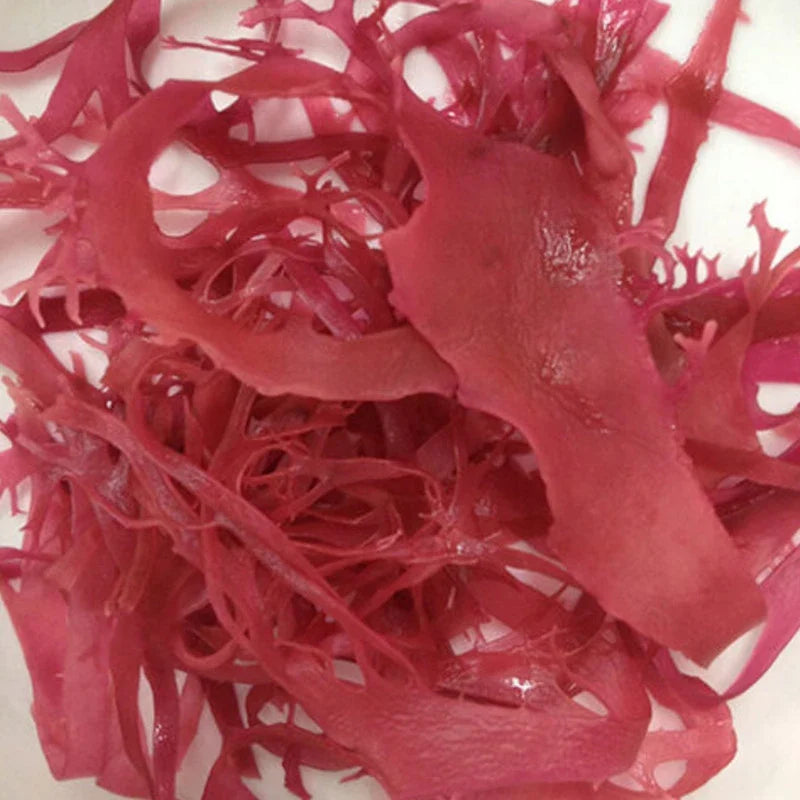 Sento Gyorui Kaneku salted red nori seaweed in a dry grocery package, natural dried red Tosaka seaweed for culinary use