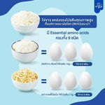 NIMNIM Egg White Noodles in a dry grocery bag, showcasing the whole bag of Nimnim brand egg white noodles.