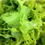 Sento Gyorui Kaneku salted green nori seaweed in dry grocery packaging, natural Japanese dried seaweed for sushi and snacks.