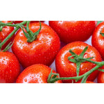 Canned Brook Whole Peeled Tomatoes in a 567g can, dry grocery product with bright red, peeled tomatoes visible inside.