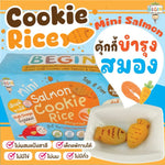 Begin Baby gluten-free rice cookies with salmon, soft snack confectionery for babies, shown in a close-up image.