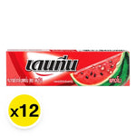Dentyne Stick Gum Watermelon flavor, 12.5g each, stacked in a row, showing colorful packaging of the DENTYNE snack gum.
