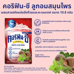 Coryfin-c herbal candy with monk fruit and licorice extract, 12-piece dry grocery snack, natural confections from CORYFIN-C.