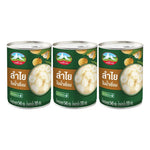 Double Pigeon Longans in syrup, 540g x 3 pack, featuring sweet longans in clear syrup in a sealed container.