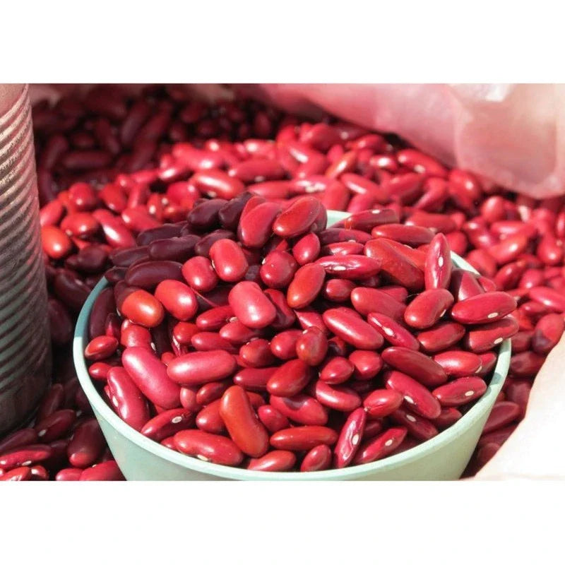 MICA Red Kidney Beans 400g in a clear plastic bag, dry grocery product with red kidney beans visible inside
