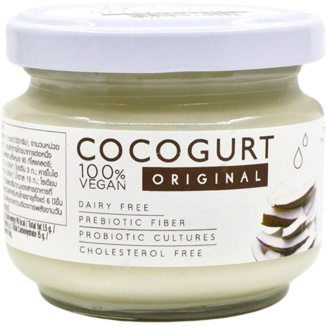 Cocogurt Agrilife Original healthy coconut yogurt in a bowl with a spoon, creamy texture and natural coconut flavor visible.