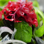 Sento Gyorui Kaneku salted red nori seaweed for sushi and cooking, natural dried Japanese seaweed in a package.