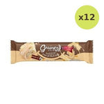 Grainey Mini Multi Grain Bar Vanilla Malt Flavour 20 g – 12 Packs