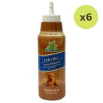 Nature Taste Caramel Flavoured Sauce 500g – 6 Packs